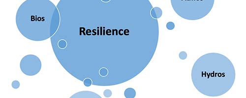 Resilience