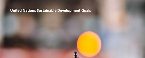 UN SDGs 